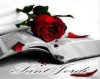 Rosa i llibre